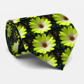 African Daisy Fluorescent Yellow Krawatte (Gerollt)
