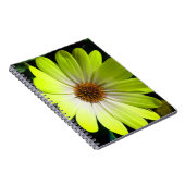 African Daisy Fluorescent Yellow Notebook Notizblock (Rechte Seite)