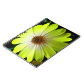 African Daisy Fluorescent Yellow Notebook Notizblock (Linke Seite)