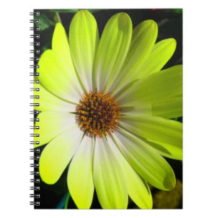 African Daisy Fluorescent Yellow Notebook Notizblock