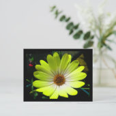 African Daisy Fluorescent Yellow Postcard Postkarte (Stehend Vorderseite)