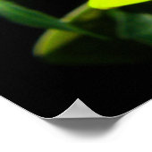 African Daisy Fluorescent Yellow Print Poster (Ecke)