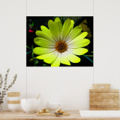 African Daisy Fluorescent Yellow Print Poster (Küche)
