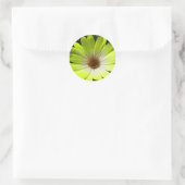 African Daisy Fluorescent Yellow Sticker (Tasche)