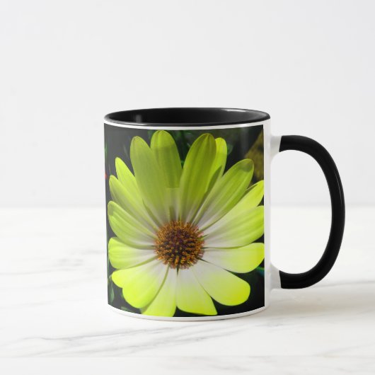 African Daisy Fluorescent Yellow Tasse (Rechts)