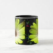 African Daisy Fluorescent Yellow Tasse (Zentrum)