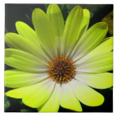 African Daisy Fluorescent Yellow Tile Fliese (Vorderseite)
