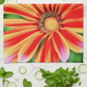 African Daisy Geschirrtuch (Gefaltet)