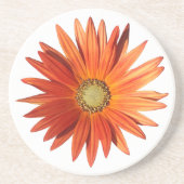 African Daisy Getränkeuntersetzer (Vorne)