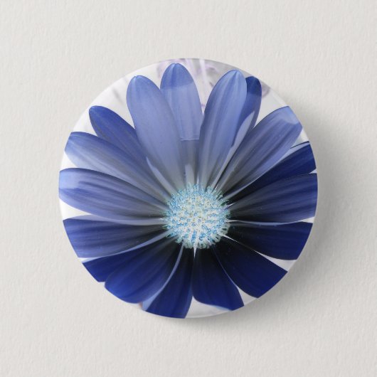 African Daisy Glows Blue Button (Vorderseite)