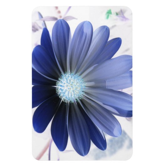 African Daisy Glows Blue Premium Magnet (Vertikal)