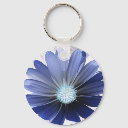 African Daisy Glows Blue Schlüsselanhänger (Vorderseite)
