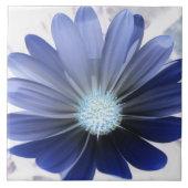 African Daisy Glows Blue Tile Fliese (Vorderseite)