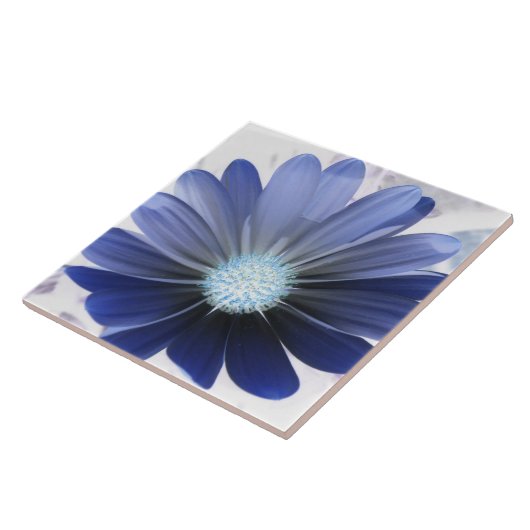 African Daisy Glows Blue Tile Fliese (Seite)