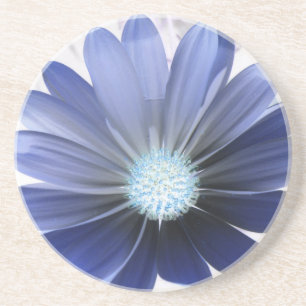 African Daisy Glows Blue Untersetzer