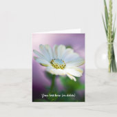 African Daisy Greeting Card Karte (Vorderseite)