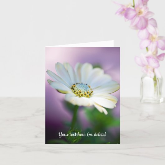 African Daisy Greeting Card Karte (Orchidee)