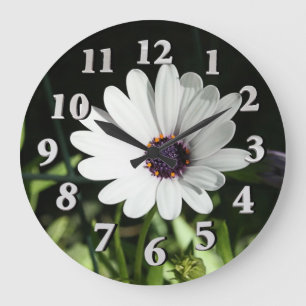 African Daisy Große Wanduhr