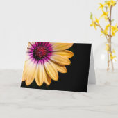 African Daisy Karte (Gelbe Blume)