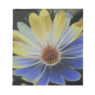 African Daisy Lapis und Gold Notepad Notizblock