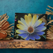African Daisy Lapis und Gold Plaque Fotoplatte (Seite)