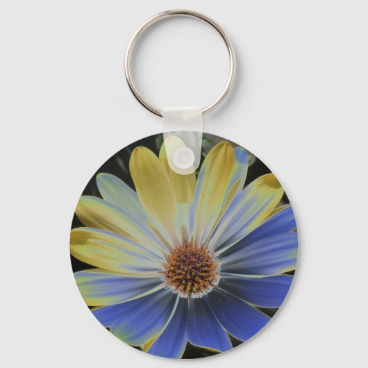 African Daisy Lapis und Gold Schlüsselanhänger (Vorderseite)