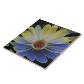 African Daisy Lapis und Gold Tile Fliese (Seite)