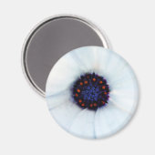 African Daisy Magnet (Vorderseite/Rückseite)