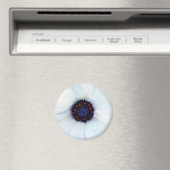 African Daisy Magnet (In Situ (Geschirrspüler))
