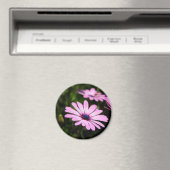 African Daisy Magnet (In Situ (Geschirrspüler))