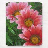 African Daisy Mousepad (Vorne)