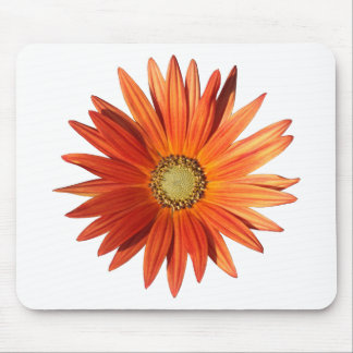 African Daisy Mousepad