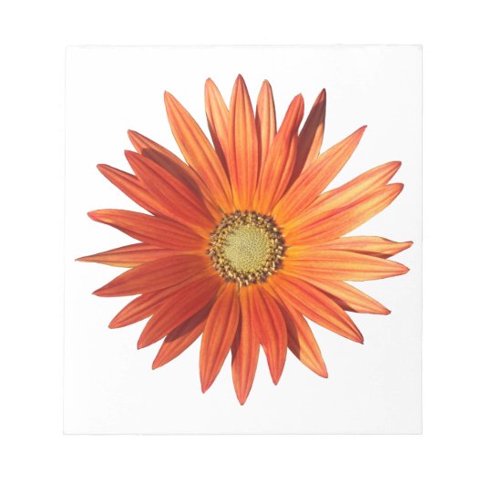 African Daisy Notizblock (Vorderseite)