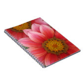 African Daisy Notizblock (Rechte Seite)