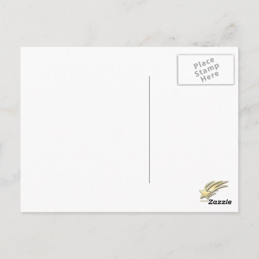 African Daisy Postcard Postkarte (Rückseite)