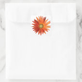 African Daisy Quadratischer Aufkleber (Tasche)