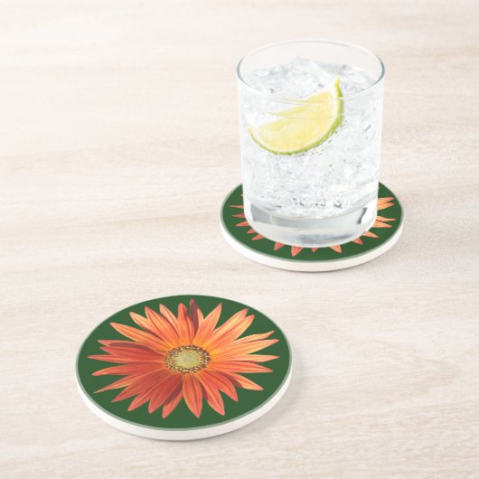 African Daisy Sandstein Untersetzer (Seite)