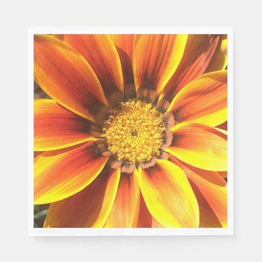 African Daisy Serviette (Vorderseite)