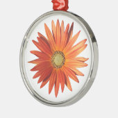 African Daisy Silbernes Ornament (Links)