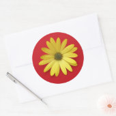African Daisy Sticker (Umschlag)