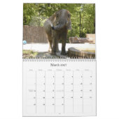African_Elephant_005, afrikanischer Elefant Kalender (Mär 2027)