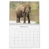 African_Elephant_005, afrikanischer Elefant Kalender (Feb 2027)