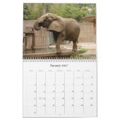 African_Elephant_005, afrikanischer Elefant Kalender (Jan 2027)