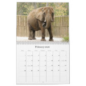 African_Elephant_005, afrikanischer Elefant Kalender (Feb 2026)