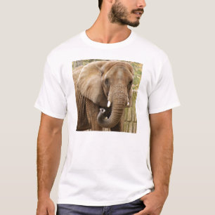 African_Elephant_008 T-Shirt