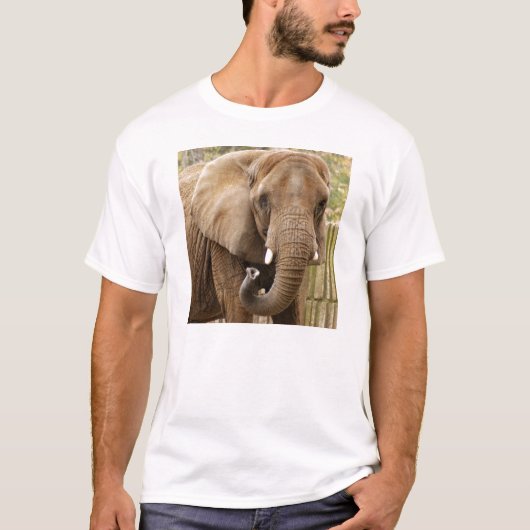 African_Elephant_008 T-Shirt (Vorderseite)