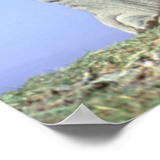 African Elephant Calf Poster (Ecke)