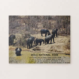 African Elephant Jigsaw Puzzle