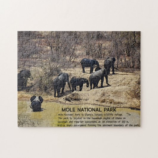 African Elephant Jigsaw Puzzle (Horizontal)