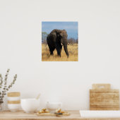 African Elephant Poster Print (Küche)
